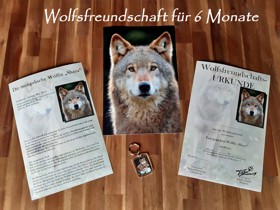 Wolfsfreundschaft